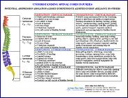 understanding spinal cord injuries chart
